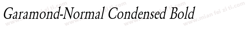 Garamond-Normal Condensed Bold Italic字体转换